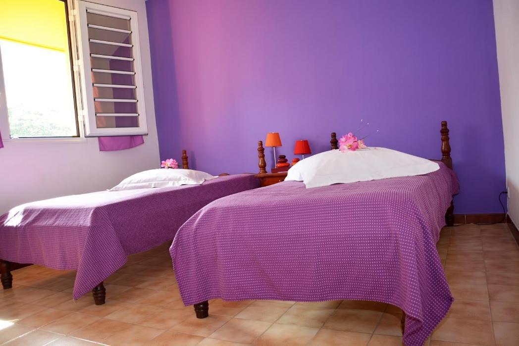 Residence De Vacances Mon Refuge - Bungalow De Type T3 Grande Anse Esterno foto
