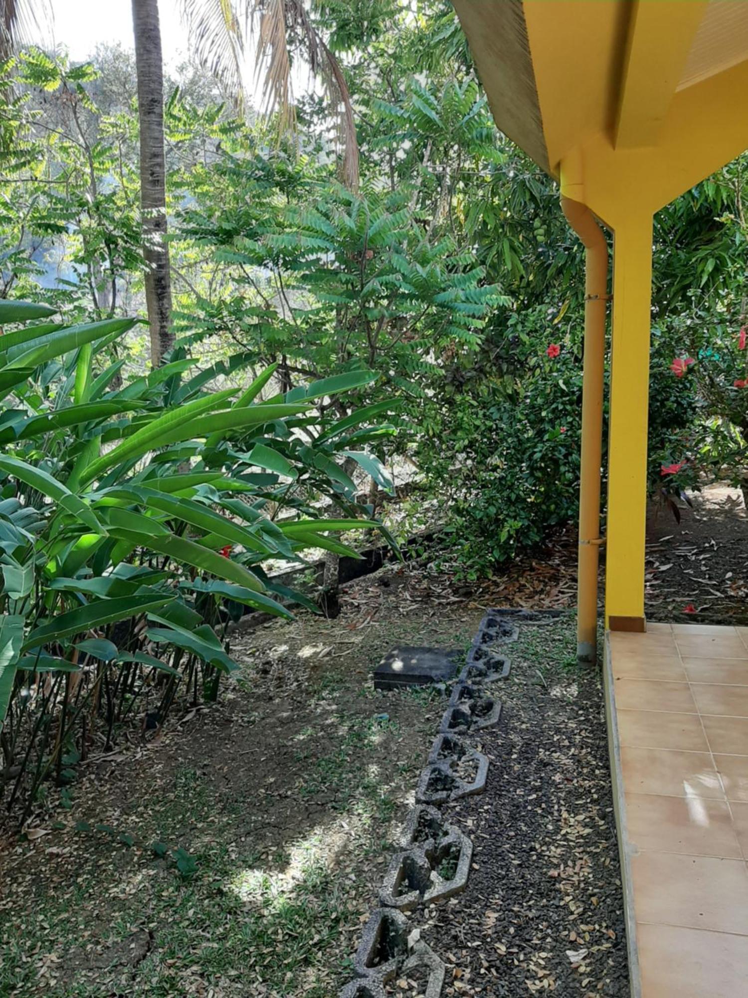 Residence De Vacances Mon Refuge - Bungalow De Type T3 Grande Anse Esterno foto